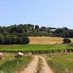 Lägenhet Pietrachiara