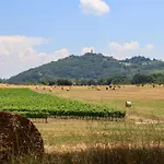 Apartament Pietrachiara *