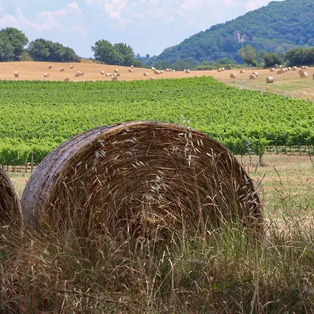 Pietrachiara * Perúgia