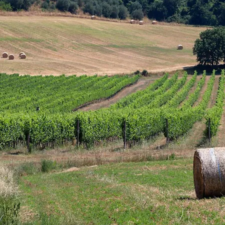 Pietrachiara * Perugia