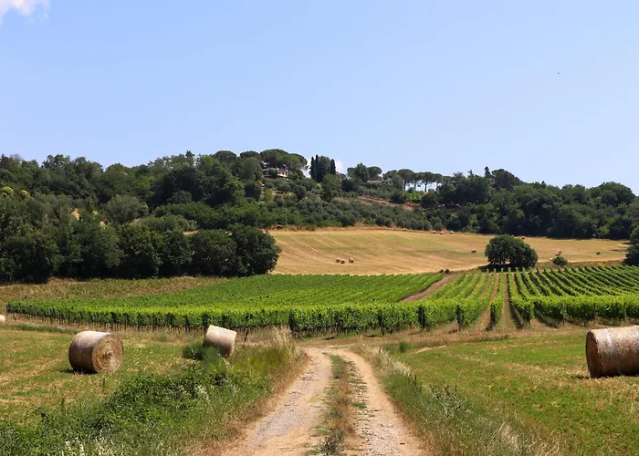 Apartamento Pietrachiara